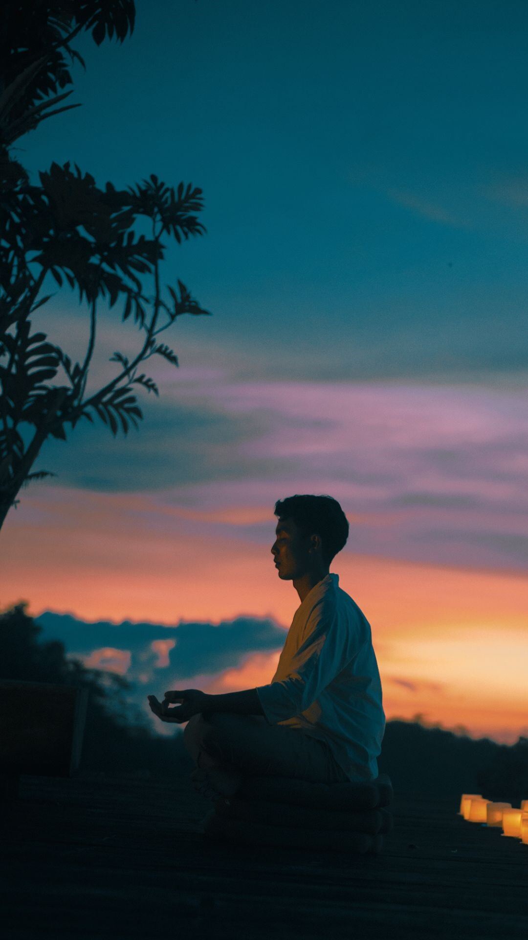 BTE - offers - rewilding thumbnail.jpeg